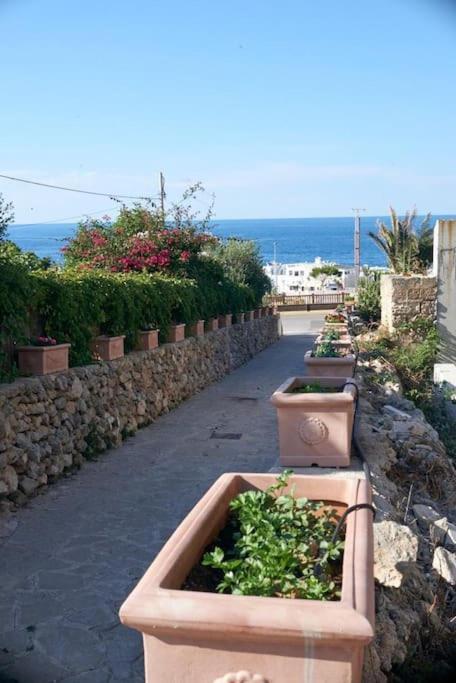 San Vito Apartament Polignano a Mare Ngoại thất bức ảnh